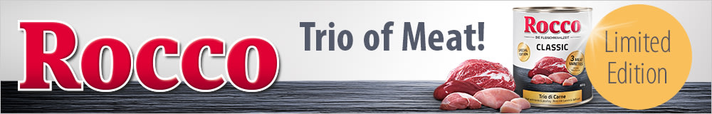 Discover Rocco