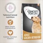 Concept for Life Golden Retriever Adult