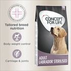 Concept for Life Labrador Sterilised 